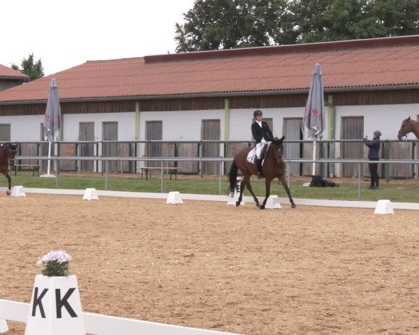 Reitturnier Neumarkt/Opf. 2025