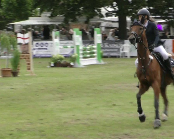 Reitturnier Aschersleben 2025