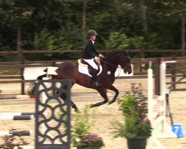 Equestrian Show Löwenstedt 2025