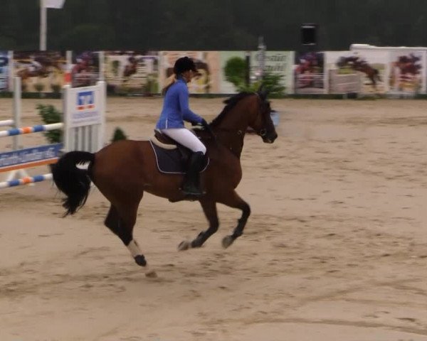 Sommerreitturnier der Süttenbacher RSG e.V. 2014
