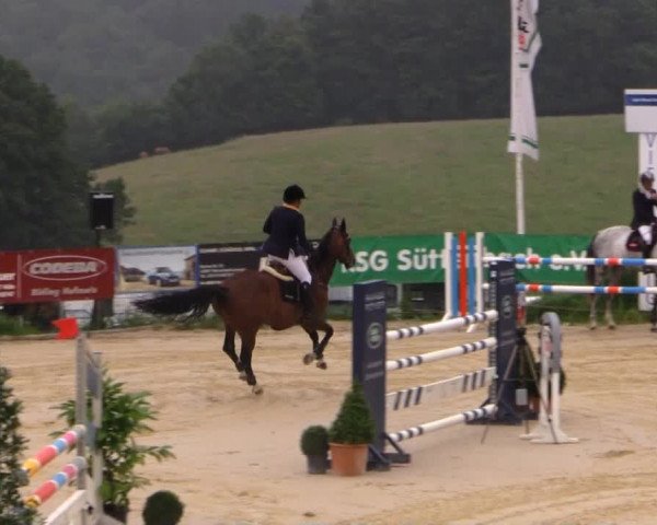 Sommerreitturnier der Süttenbacher RSG e.V. 2014