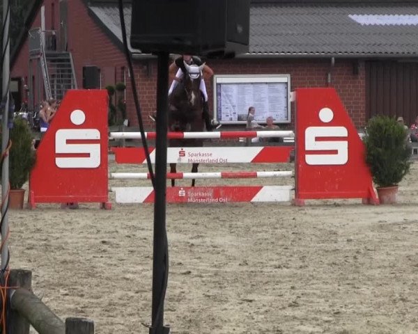 Reit- und Springturnier Münster-Roxel 2014