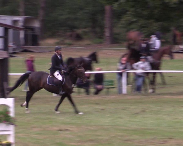 Reitturnier Plöwen 2025