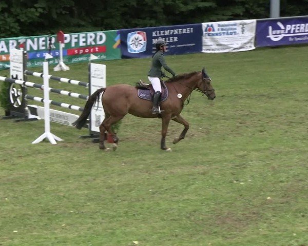 Reitturnier Lengenfeld/Vogtl. 2025