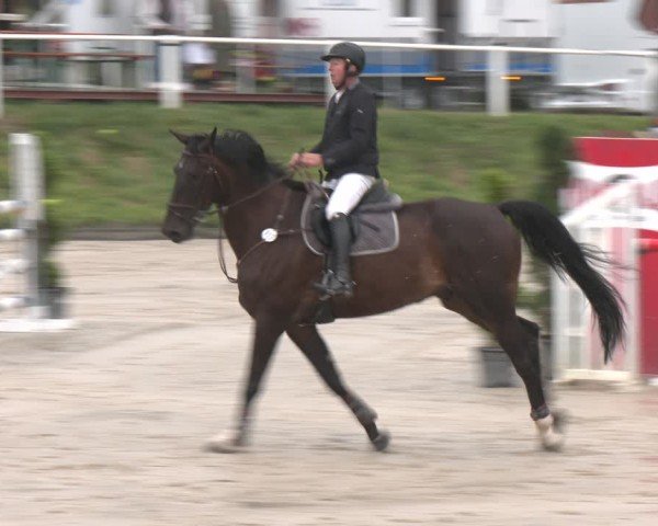 Reitturnier Bergisch Gladbach - Hebborner Hof 2025