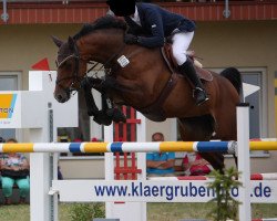 broodmare Coretta 7 (Oldenburg show jumper, 2006, from Converter I)