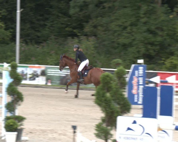 Reitturnier Bergisch Gladbach - Hebborner Hof 2025