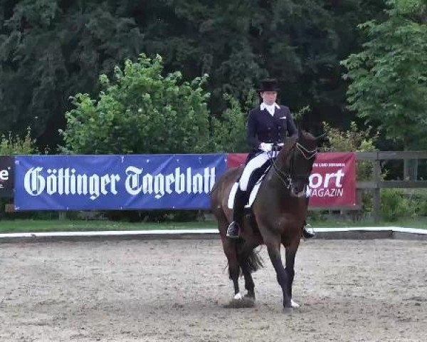 10. Bettenröder Dressurtage 2014