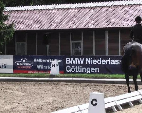 10. Bettenröder Dressurtage 2014