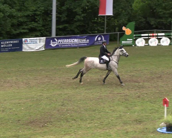 Reitturnier Lengenfeld/Vogtl. 2025