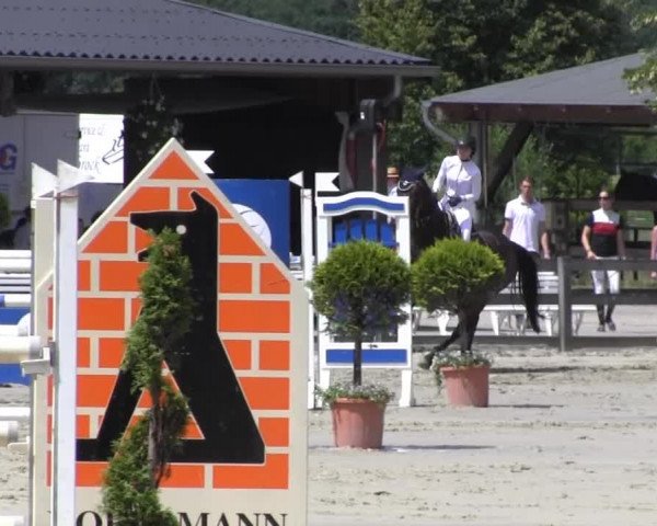 Reit- und Springturnier Münster-Roxel 2014