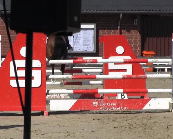 Reit- und Springturnier Münster-Roxel 2014