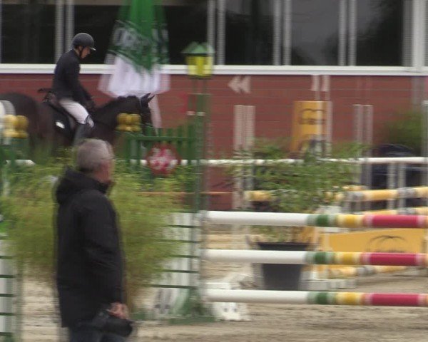 Reitturnier Werne 2025