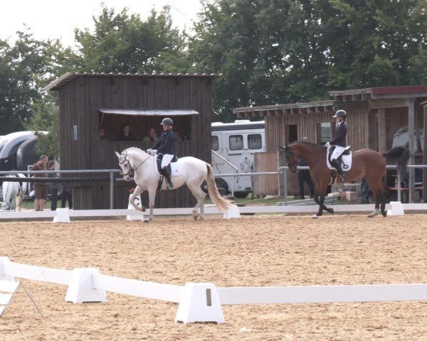 Reitturnier Neumarkt/Opf. 2025