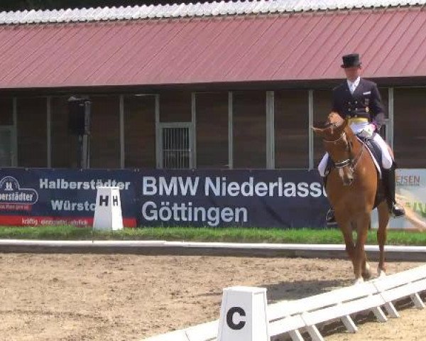 10. Bettenröder Dressurtage 2014