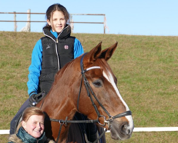 dressage horse Relax 57 (Bavarian, 2005, from Rubicell)
