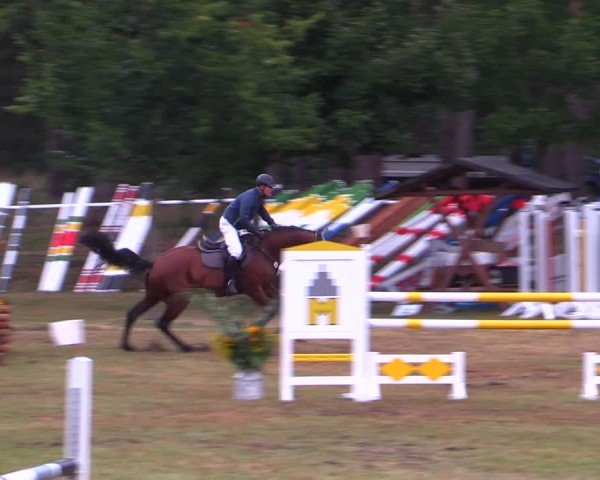 Reitturnier Plöwen 2025