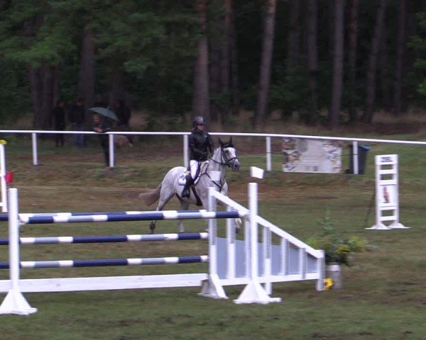 Reitturnier Plöwen 2025