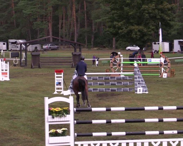 Reitturnier Plöwen 2025