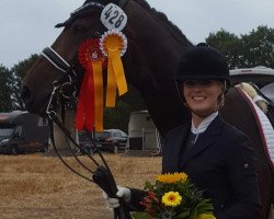 dressage horse Feine Piccolina (Westphalian, 2010, from Fürst Piccolo)
