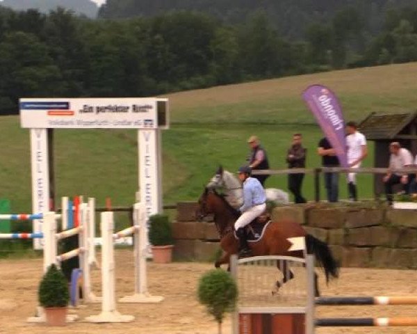 Sommerreitturnier der Süttenbacher RSG e.V. 2014