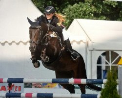 broodmare Ce La Vie 3 (German Sport Horse, 2008, from Cancoon)