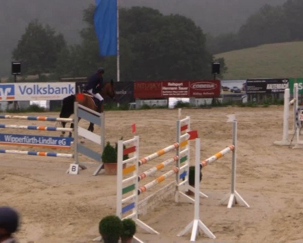 Sommerreitturnier der Süttenbacher RSG e.V. 2014