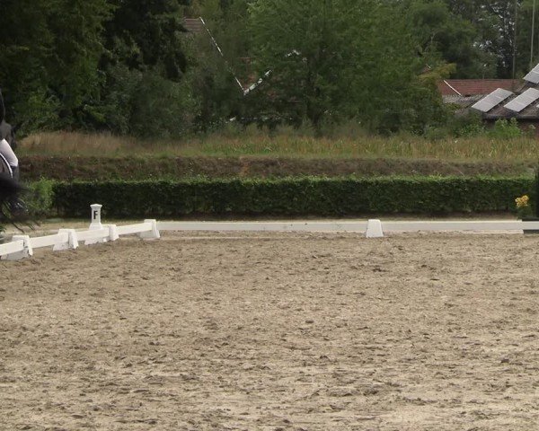 Reitturnier Werne 2025