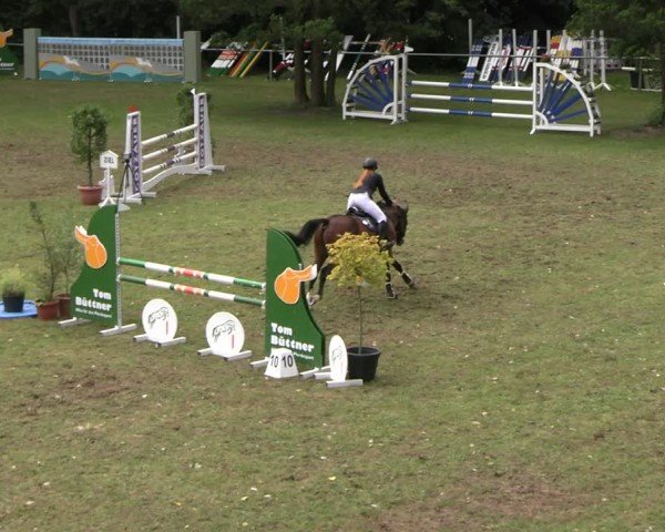 Jezdecký turnaj Lengenfeld/Vogtl. 2025