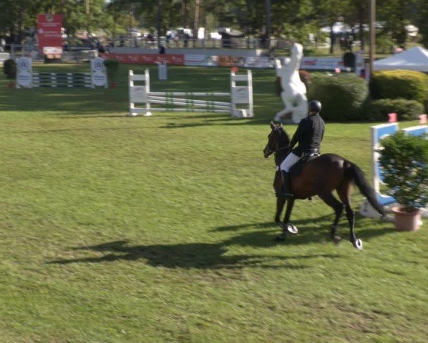 Reitturnier Cottbus-Sielow 2025