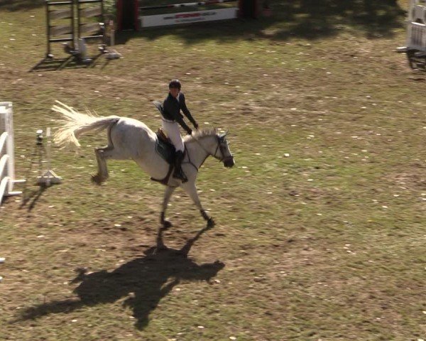 Reitturnier Lengenfeld/Vogtl. 2025