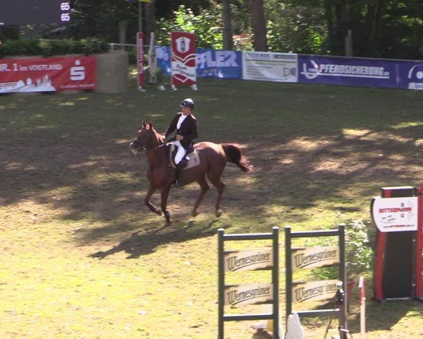 Reitturnier Lengenfeld/Vogtl. 2025