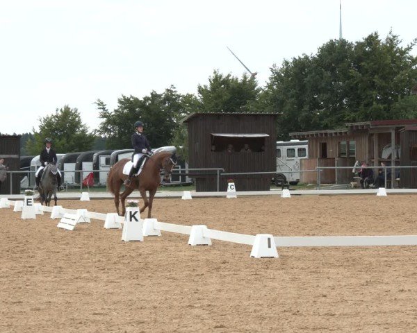 Reitturnier Neumarkt/Opf. 2025