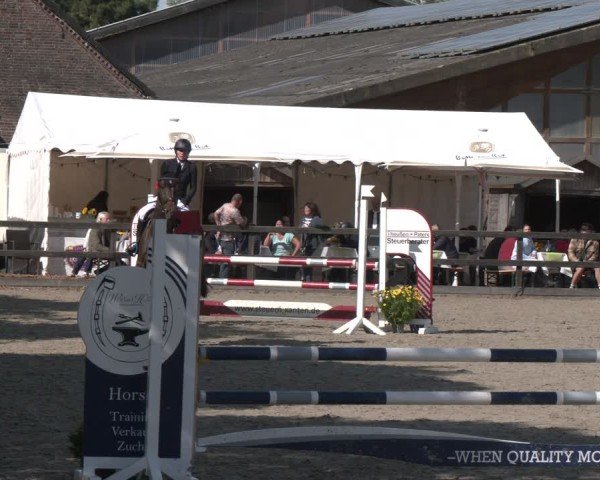 Reitturnier Xanten - Reitanlage Miss 2025