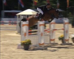 jumper Kick It Like Emerald (KWPN (Royal Dutch Sporthorse), 2015, from Emerald van 't Ruytershof)