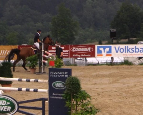 Sommerreitturnier der Süttenbacher RSG e.V. 2014