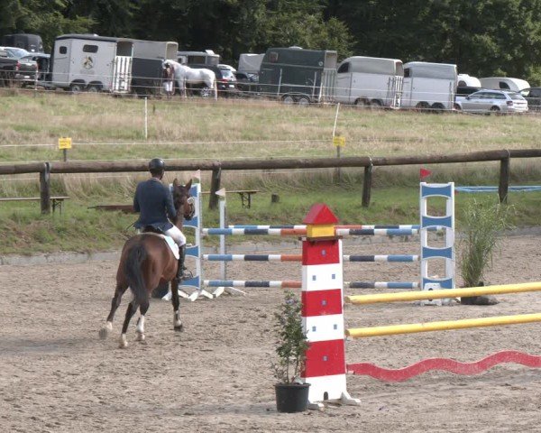 Reitturnier Sieversen - Rosengarten 2025