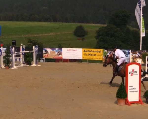 Sommerreitturnier der Süttenbacher RSG e.V. 2014