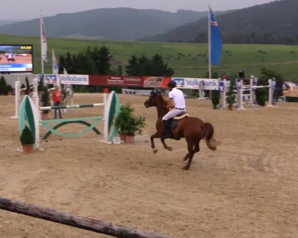 Sommerreitturnier der Süttenbacher RSG e.V. 2014
