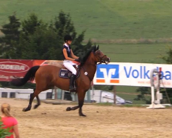 Sommerreitturnier der Süttenbacher RSG e.V. 2014