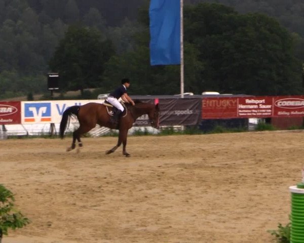 Sommerreitturnier der Süttenbacher RSG e.V. 2014