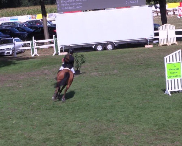 Reitturnier Ostbevern 2025