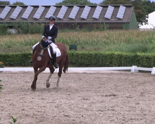 Reitturnier Werne 2025