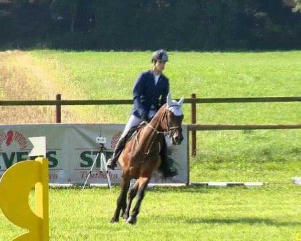 Ahlhorner Reitertage 2014