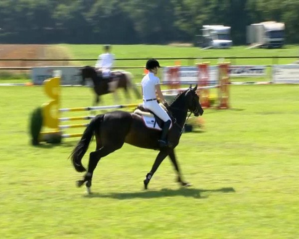 Ahlhorner Reitertage 2014