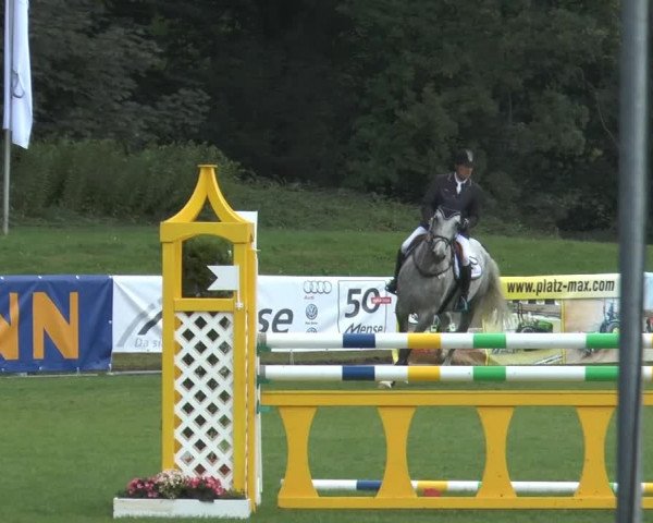 FEI Reitturnier Steinhagen (GER) 2014