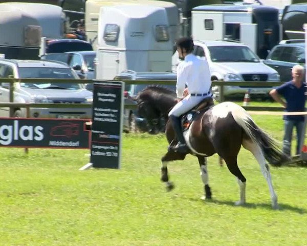 Ahlhorner Reitertage 2014