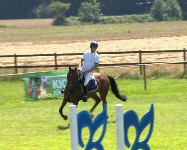 Ahlhorner Reitertage 2014