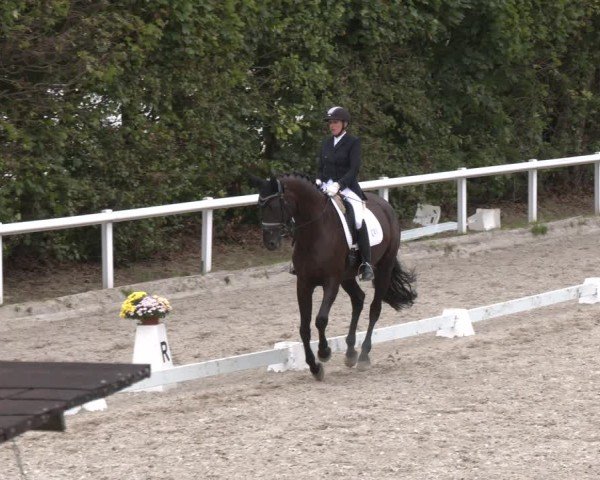 Reitturnier Zillhofen/Obb. 2025