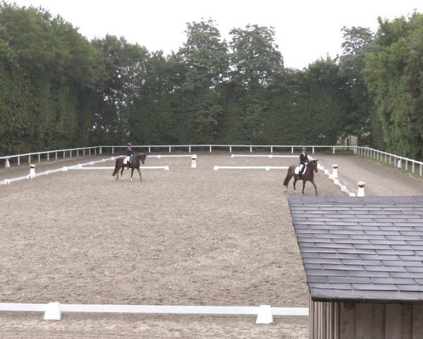 Reitturnier Zillhofen/Obb. 2025